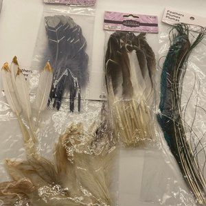 New Feathers for Crafting & Decor